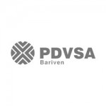 logo_pdvsa
