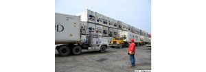 En lo que va de año Puerto Cabello despachó más de 10 mil contenedores con alimentos