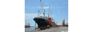 Al Puerto de La Guaira llegaron 272 contenedores con alimentos, medicinas y productos de higiene