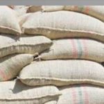 venezuela-exporta-primer-contenedor-de-cafe-verde-hacia-turquia