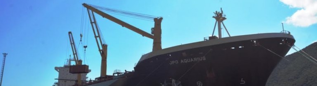 Contenedores con artículos y rubros de primera necesidad son descargados en el puerto de Puerto Cabello