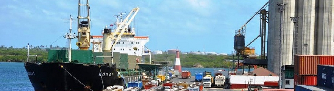 33 mil toneladas de trigo arribaron a Puerto Cabello