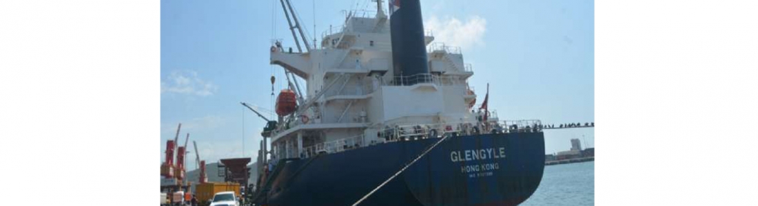 En el puerto de Puerto Cabello descargaron 30 mil toneladas de trigo panadero