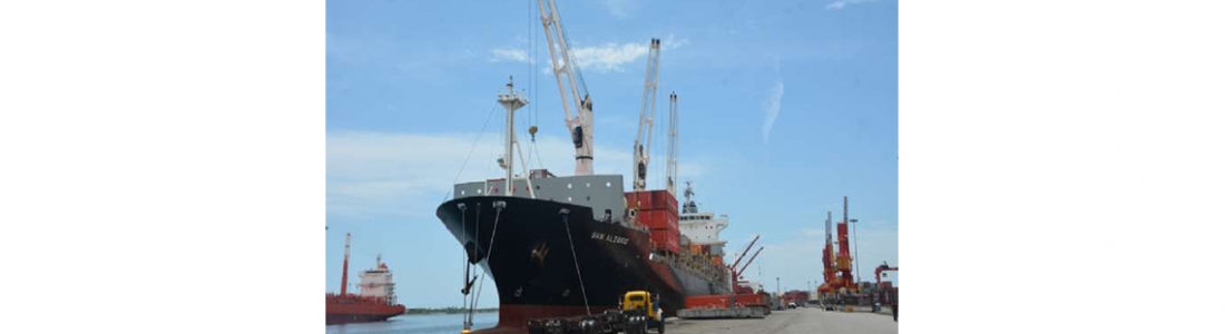 Al Puerto de La Guaira llegaron 272 contenedores con alimentos, medicinas y productos de higiene