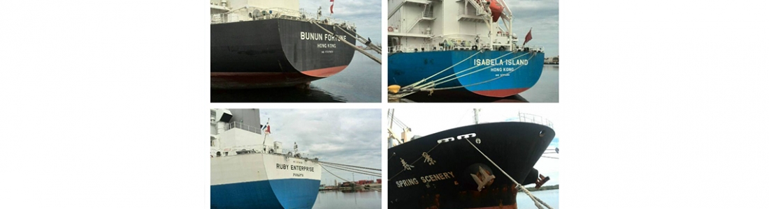 150 mil TM de mercancía a granel es descargada en el Puerto de Puerto Cabello