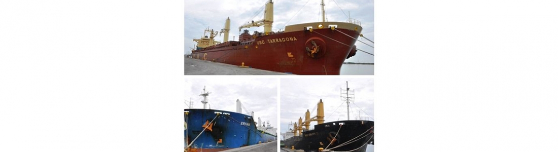 En el Puerto de Puerto Cabello se atienden tres embarcaciones con materia prima