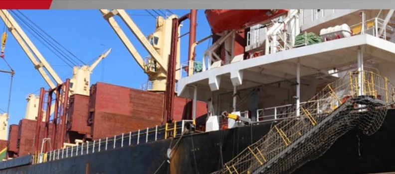 Puerto Internacional de Guanta se afianza como el epicentro logístico para la exportación en Venezuela