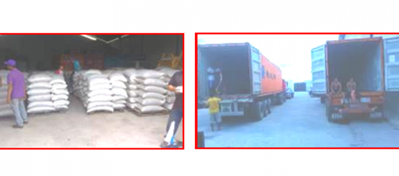 Corpovex  gestiona exportación de frijoles hacia Vietnam