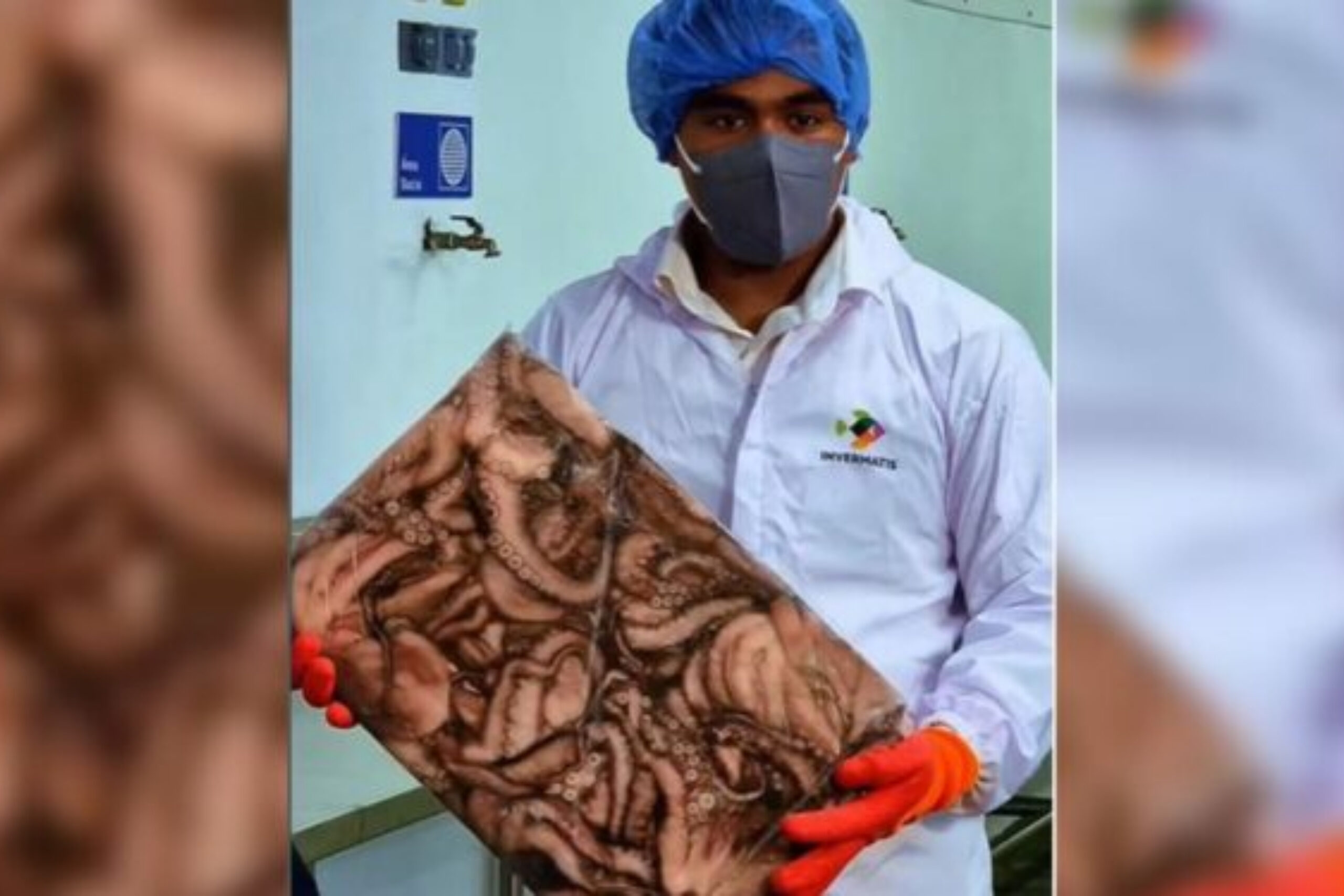 Venezuela exporta más de 20 mil kilos de pulpo congelado hacia Europa