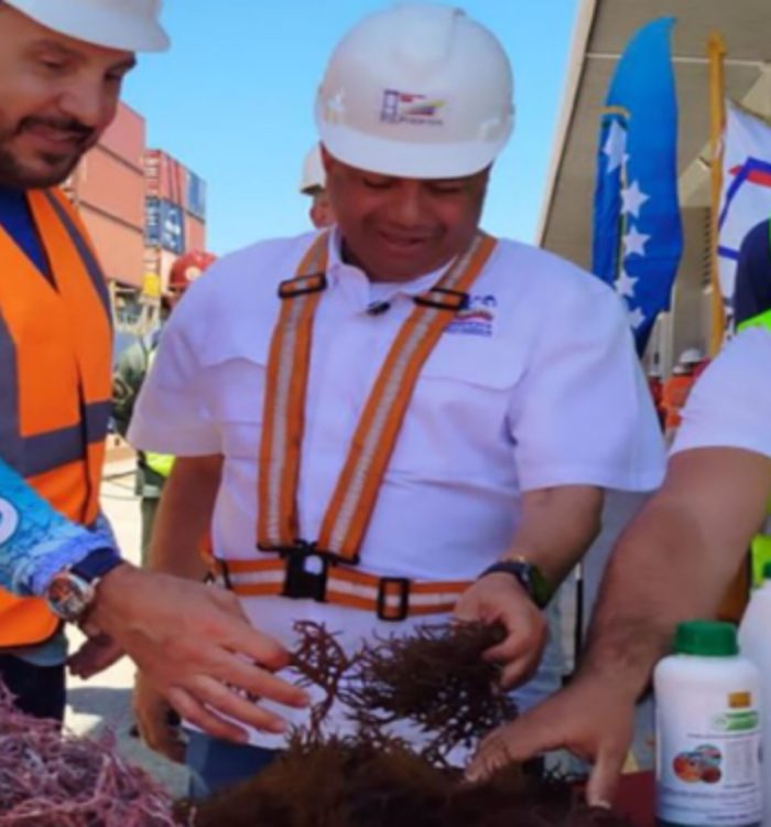 Venezuela potencia su capacidad exportadora enviando 162 toneladas de algas marinas a Chile