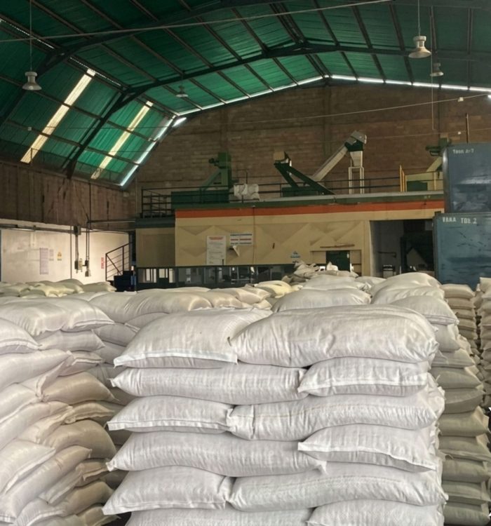 Venezuela exporta 43,2 toneladas de frijol mungo a Francia