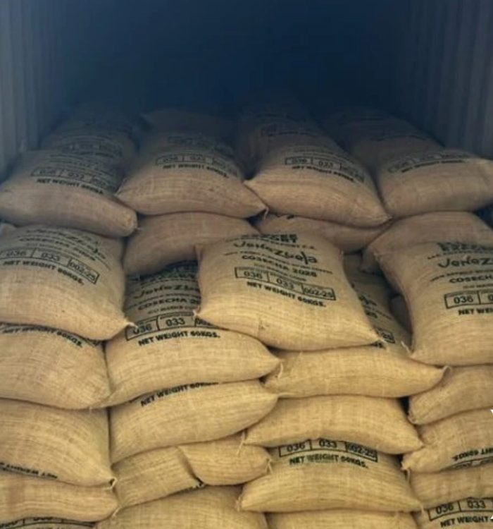 Venezuela Exporta 24,9 toneladas de café verde a Italia