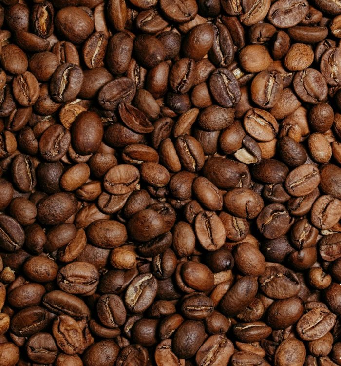 Café y cacao se posicionan como grandes rubros de la exportación venezolana