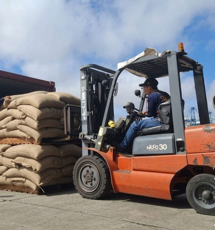 19 toneladas de café verde salieron desde Venezuela a Estados Unidos